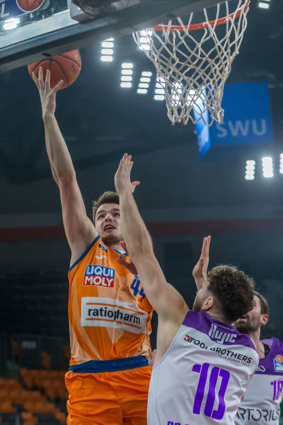 长的新秀展 长的新秀展