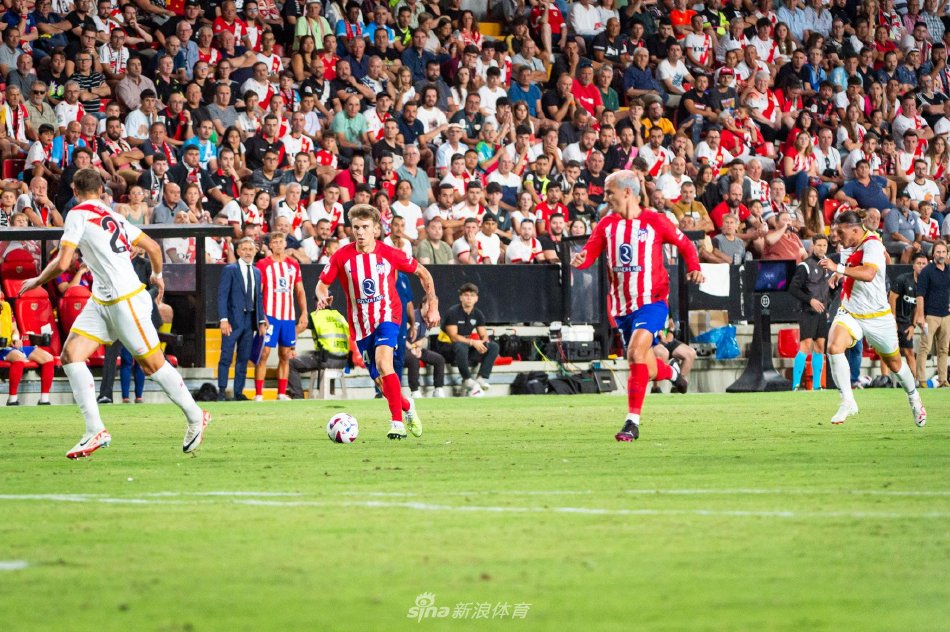 泳等多个类 泳等多个类